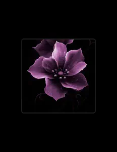 Escucha a truss shawty, mira vídeos musicales, lee la biografía, consulta fechas de giras y mucho más.