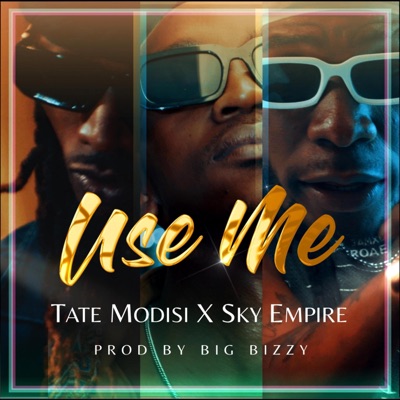 Use Me (feat. Skyempire Zambia & Native 012) - Single
