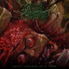 Icon Skull Crushed By A Tank (feat. Suffocation) - Single