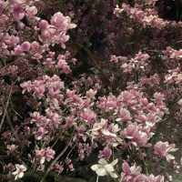 SHAMINATHEWORLD (DIRECTOR'S CUT) - EP - KAMUITHEWORLD