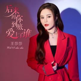 后来的你到底爱上了谁 (伴奏) 王莎莎