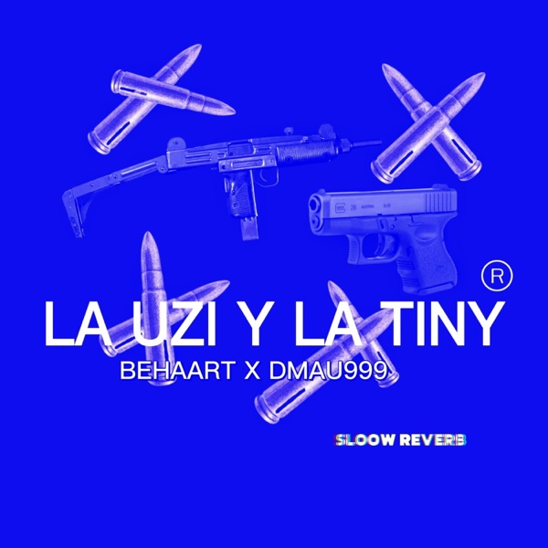 LA UZI Y LA TINY (feat. DMAU999) [SLOOW + REVERB] - Single
