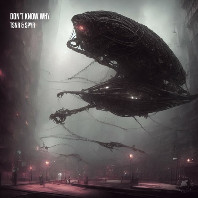 Don't Know Why - Single