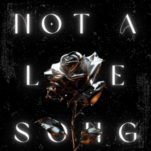 Not a Love Song