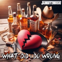 What Did I Do Wrong - Single - Jamhitzmusic