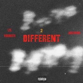 2 Different (feat. JakeRich) Lil Vorhees