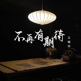 不再有期待 (伴奏) 王若晴