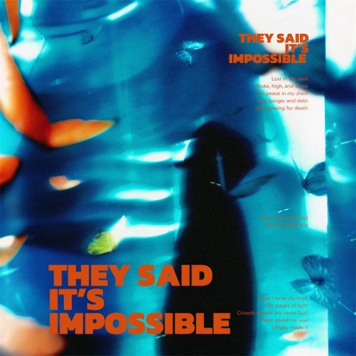 they said it's impossible