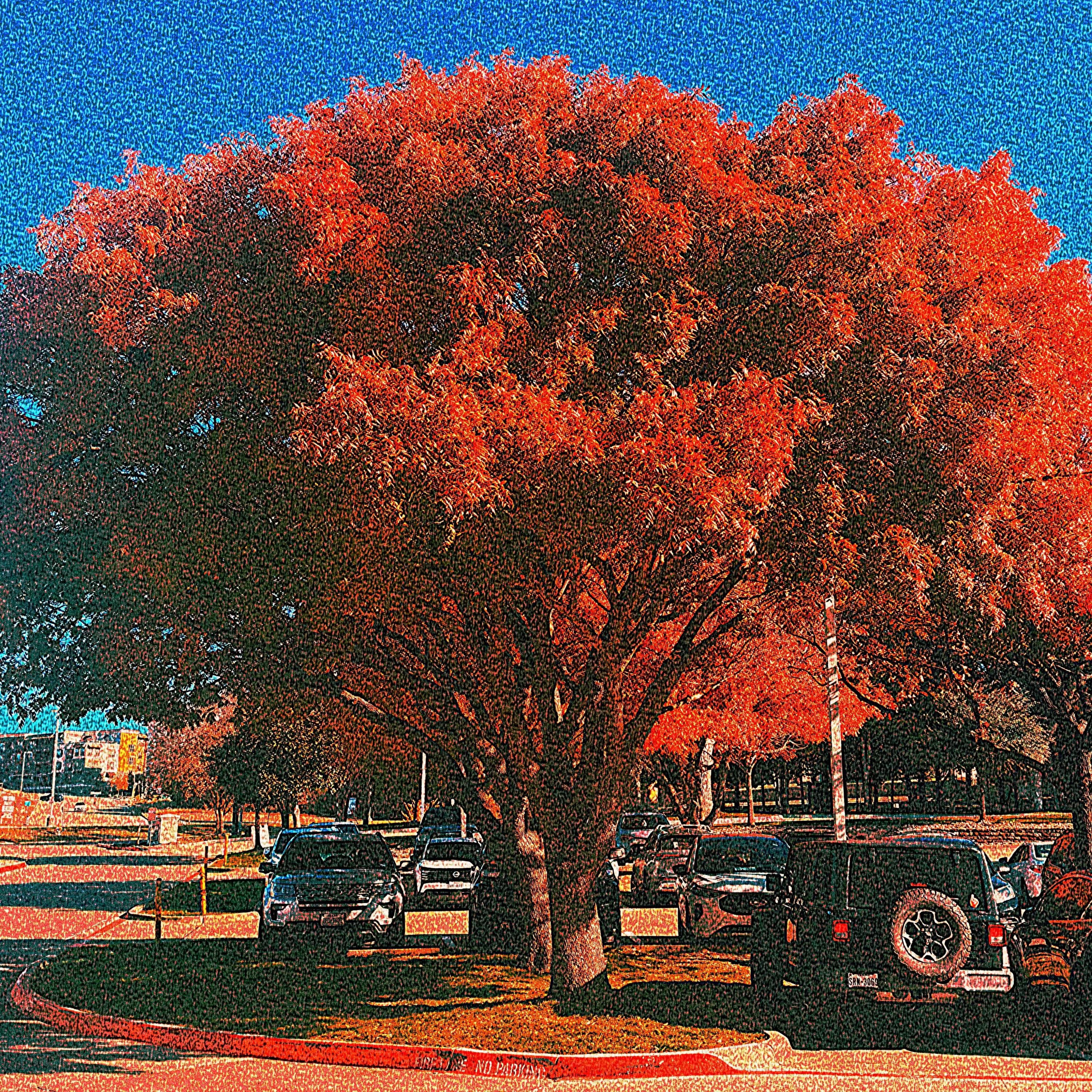 Garden (Atrophy)