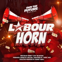 Labour Horn (feat. Luta) - Single - Unity Labour Party