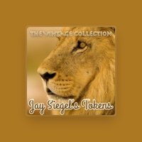 Jay Siegel's Tokens