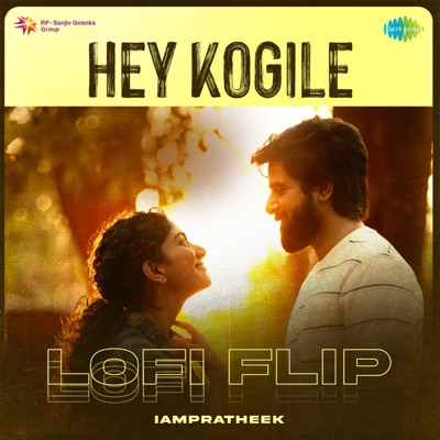 Hey Kogile (Lofi Flip) - Single