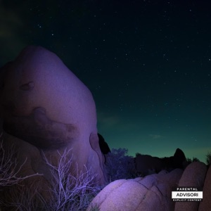 Last Night (feat. VAVO & DLAY) [Remix] - Single