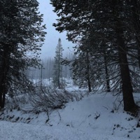 Love x Leave - Single - levithareal & bbdalena