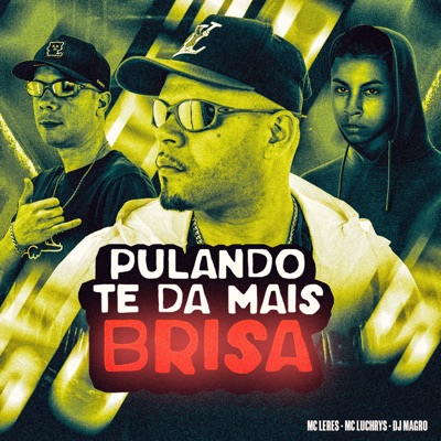 Pulando Te da Mais Brisa - Single