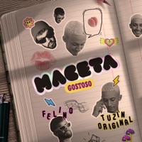 Maceta Gostoso - Single - felino & Tuzin Original