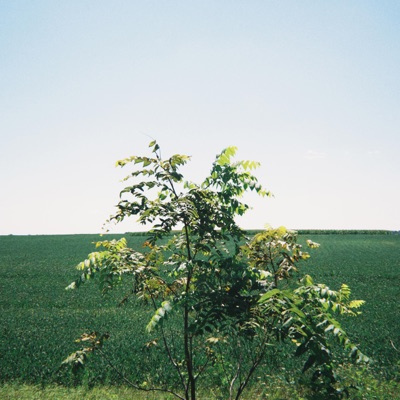 Okay - Single