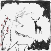 anatomy angels - EP - cropscropscrops & Vaygrnt