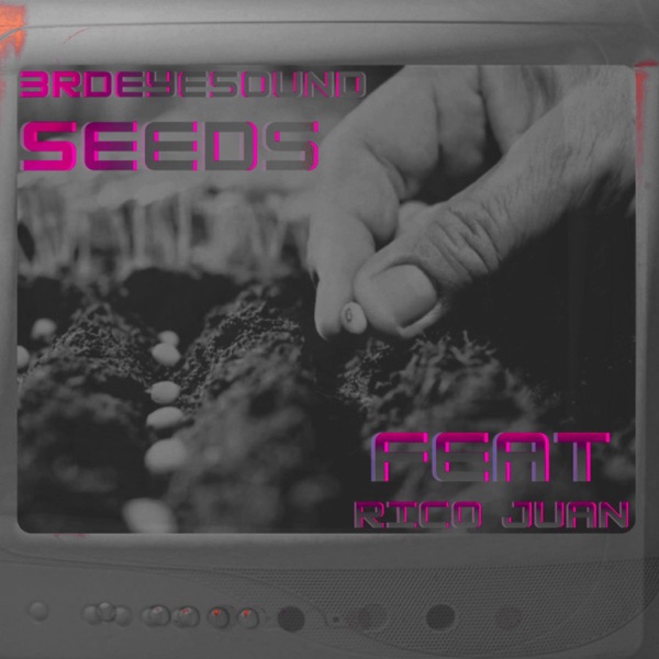 SEEDS