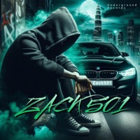 Bambi Qolo (feat. BabyBoy Rsa, Ghost, ACE, Malume Tapes & Owethu Rsa) [Radio Edit] - Single - Zack501