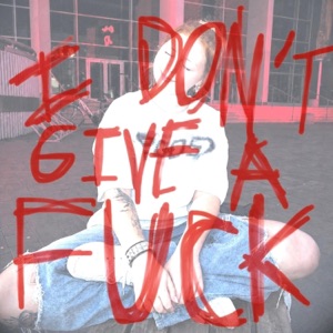 idgaf (get money) - Single