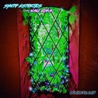 Wonderland (feat. Nali Roka) - Single - Synth Esthetics