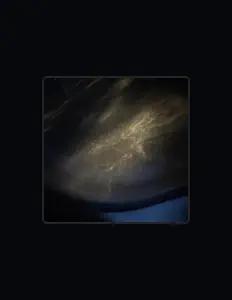 The Fenix सुनें, म्यूज़िक वीडियो देखें, बायो पढ़ें, दौरे की तारीखें और बहुत कुछ देखें!