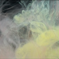 Move from California - Single - WeAreGloria