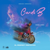 Card BI - Single - El Perfect