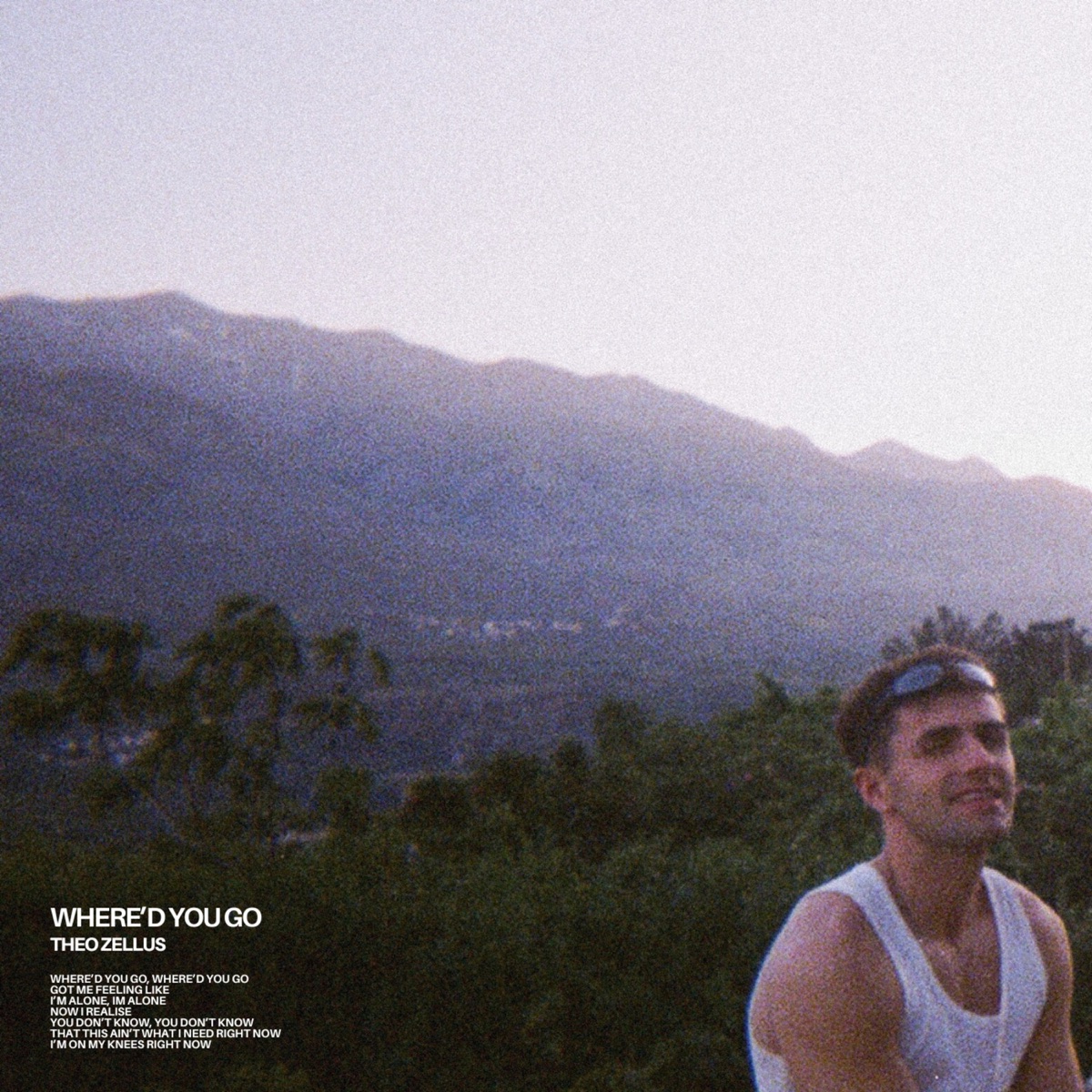 Theo Zellus - Where'd You Go - Single (2025) [iTunes Plus AAC M4A]-新房子