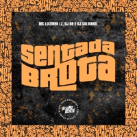 Sentada Bruta - Single - DJ DR & Mc Luizinho LZ