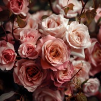 Dema-dema - Single - Rustam Ismatov