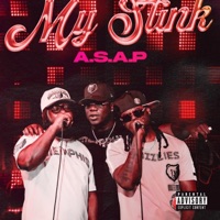 My Stink - Single - Asap