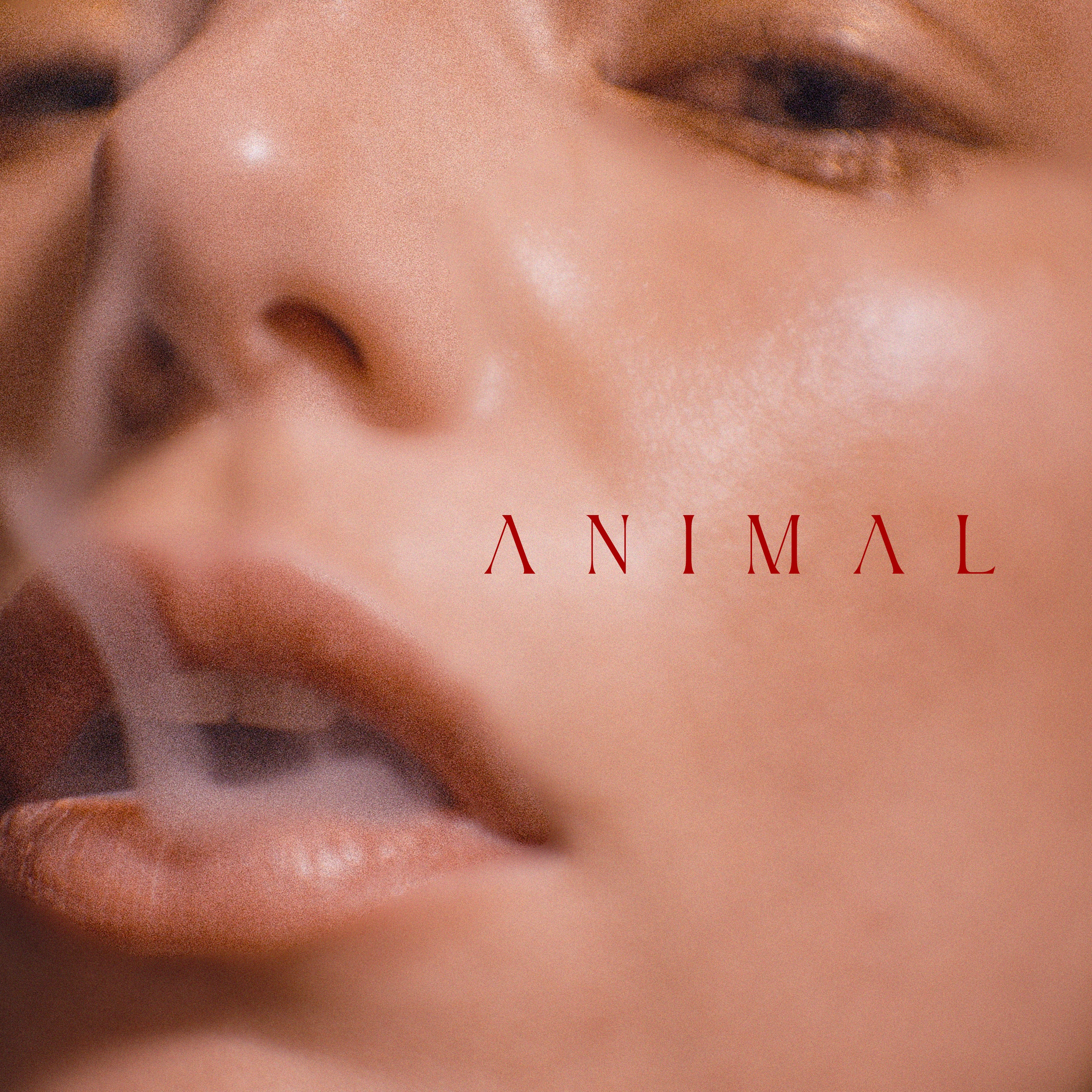 Animal - Single