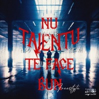 NU TALENTU TE FACE BUN FREESTYLE (feat. NDG & Neph) - Single - Plumb