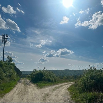 alive (feat. MWGCOZMO) - Single