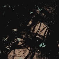 Ricki Lake - Single - akhi