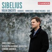 Sibelius: Works for Violin & Orchestra artwork