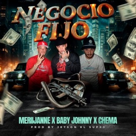 Negocio Fijo (feat. Baby Johnny & Chema el Cheff) Meriijanne