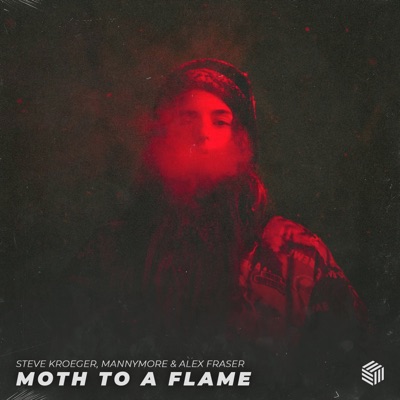 Moth To A Flame - Single