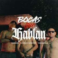 Bocas que hablan (feat. Maniax mediko & Vegaoner msc) - Single - Paniko tpk