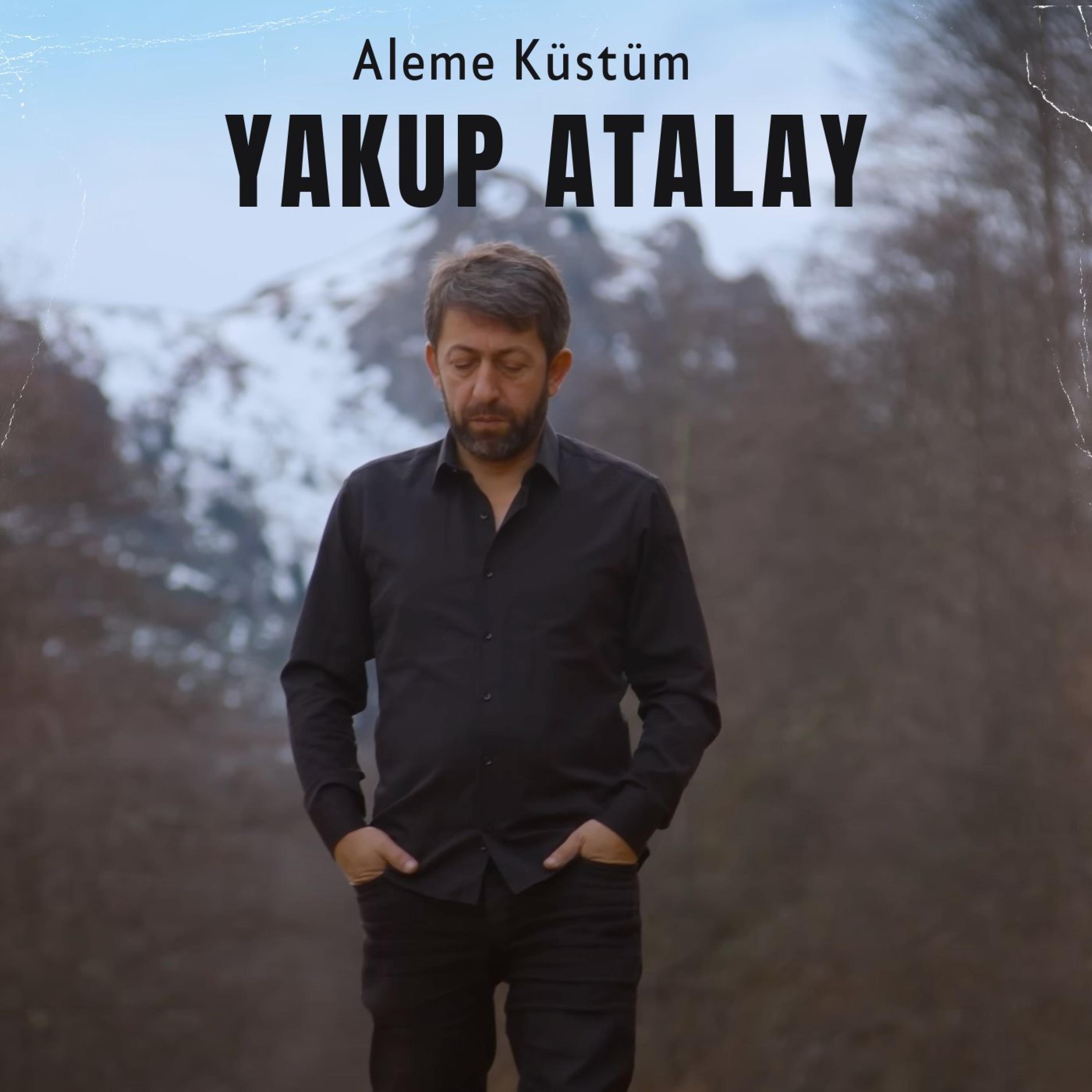 Aleme Küstüm - Single