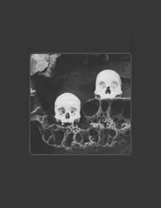 France सुनें, म्यूज़िक वीडियो देखें, बायो पढ़ें, दौरे की तारीखें और बहुत कुछ देखें!