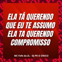 Ela Tá Querendo Que Eu Te Assumo Ela Ta Querendo Compromisso - Single - DJ PK O Único & MC Fefe Da ZL