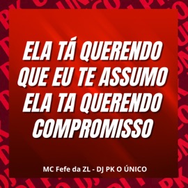 Ela Tá Querendo Que Eu Te Assumo Ela Ta Querendo Compromisso DJ PK O Único & MC Fefe Da ZL