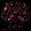 Galbi - Single