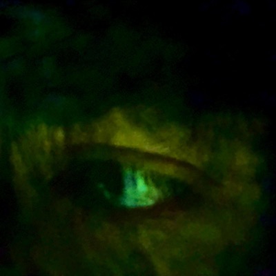 took off her hand/my phone keeps ringing - Single
