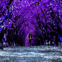 BPM - Single - LilTooSad