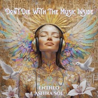 Don't Die With The Music Inside - Single - Ashira Sōl & Entheo
