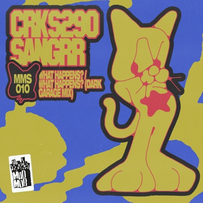 What Happens? / What Happens? (Dark Garage Mix) - Single